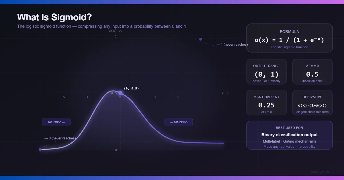 What Is Sigmoid